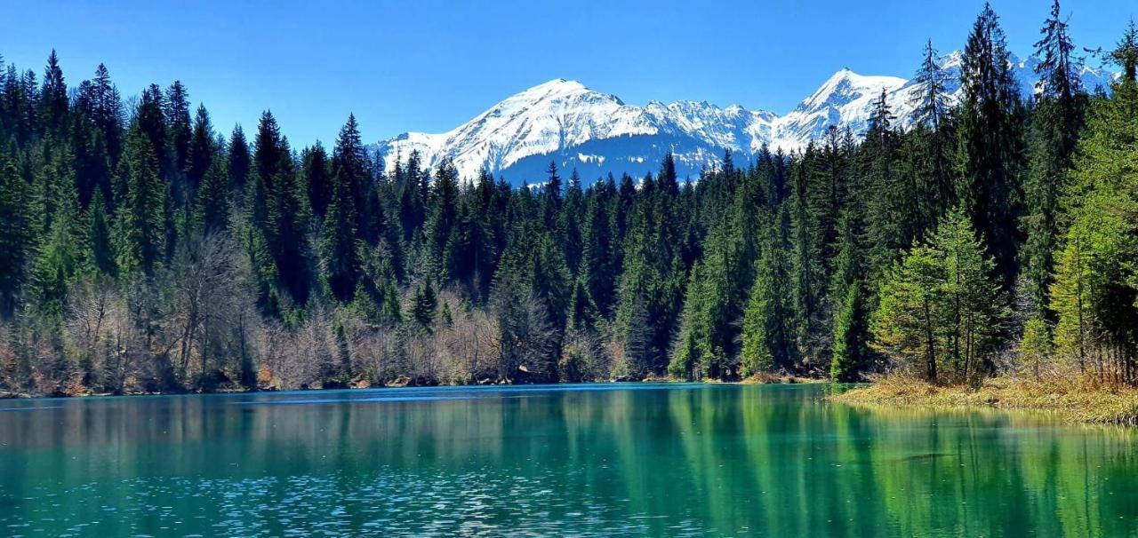 Stilvolle Ferienwohnung Direkt An Der Skipiste Flims Dış mekan fotoğraf